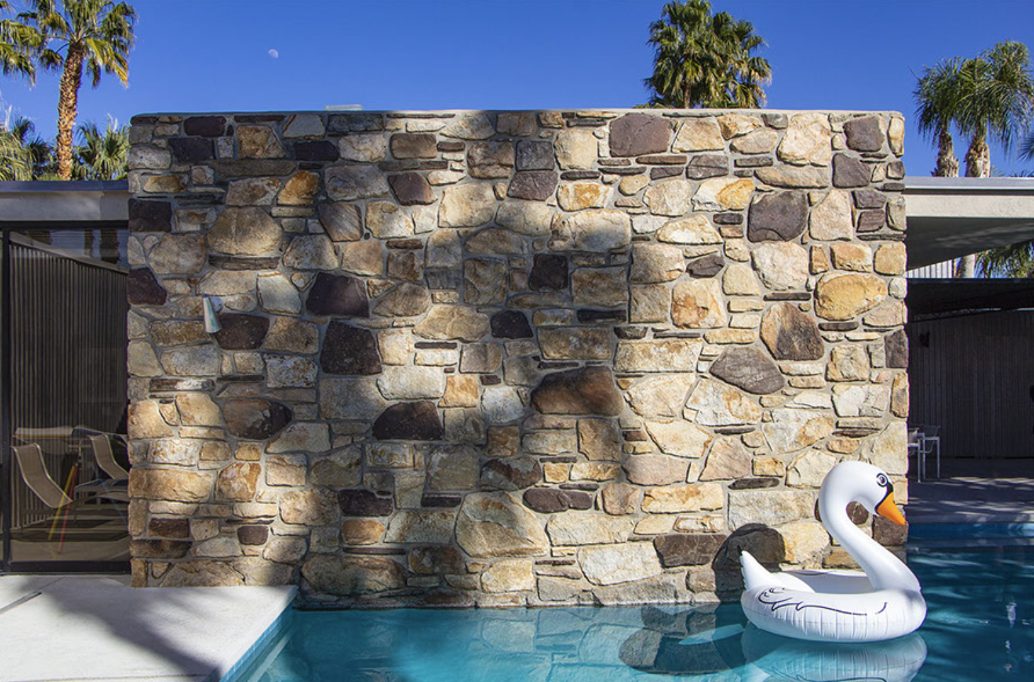 swan floaty in swimming pool in California fine art print