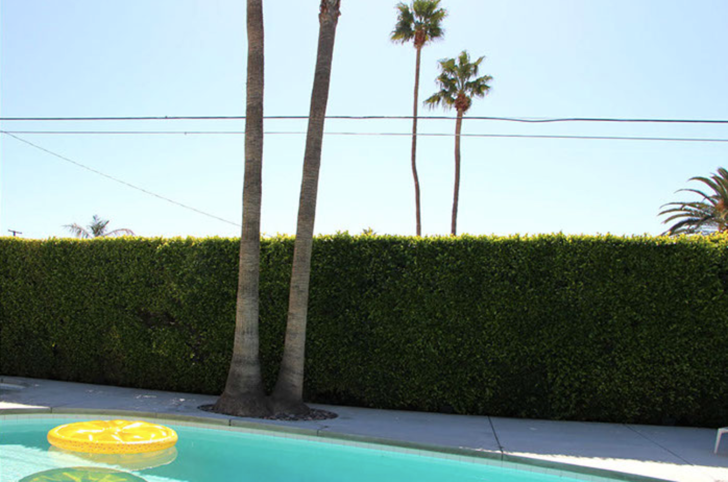 swimming pool and palm trees fine art photography